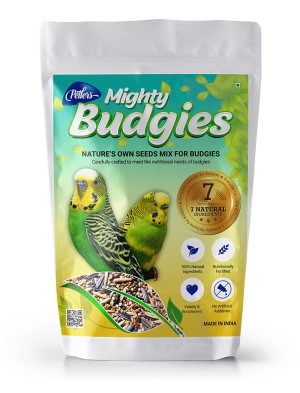 PETLERS Mighty Budgies